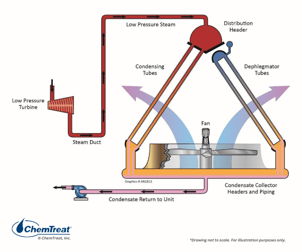 A schematic presentation of the main algorithms of the STEAM model. The