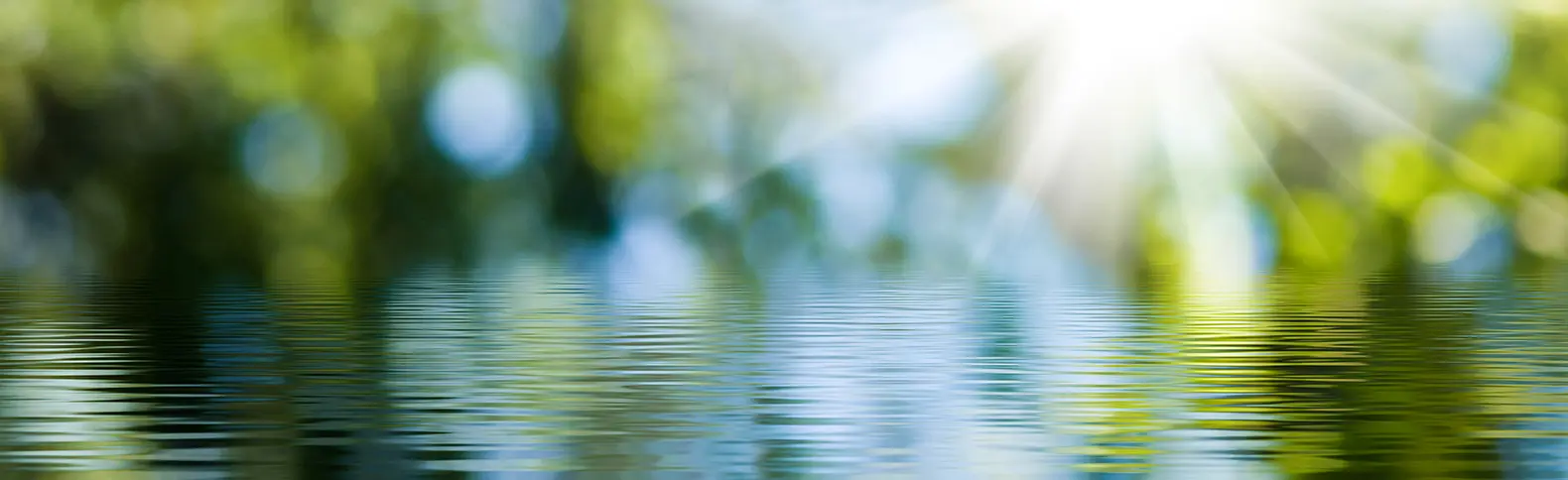 AdobeStock_282596489-Copy