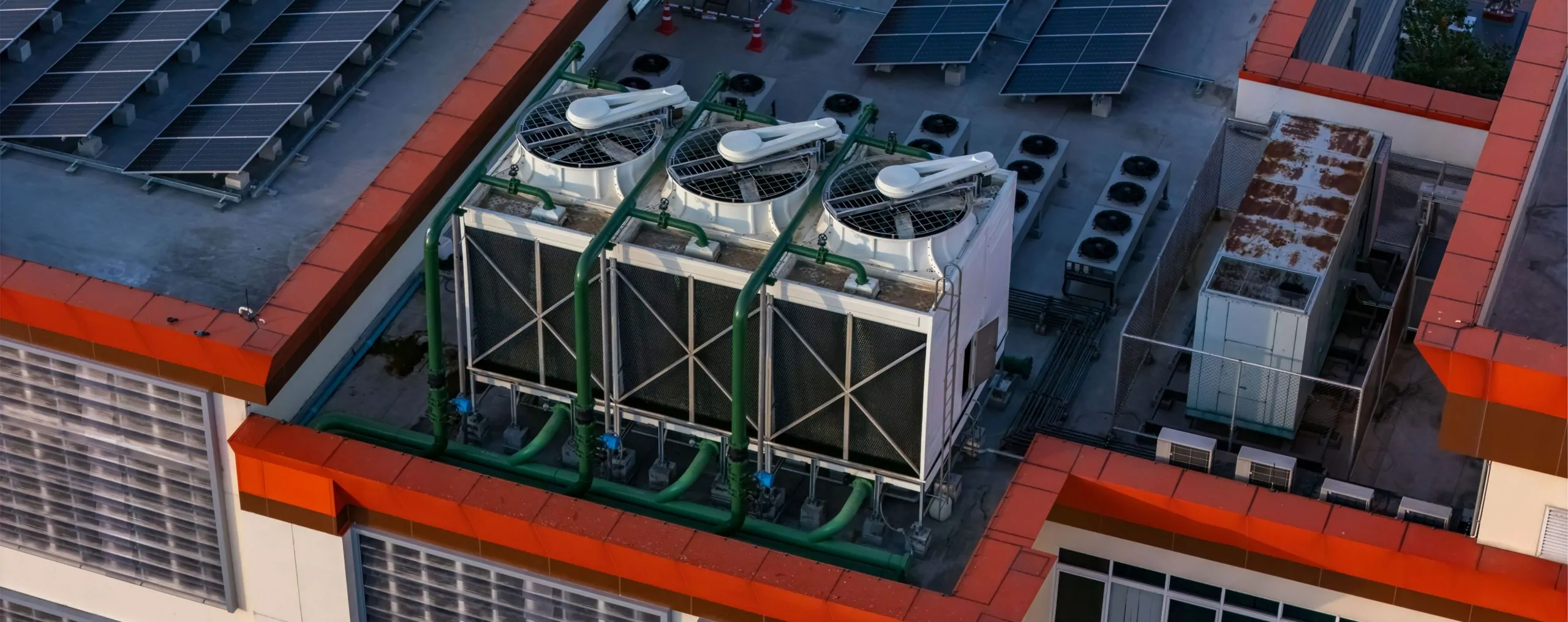 AdobeStock_1162439117-1-scaled