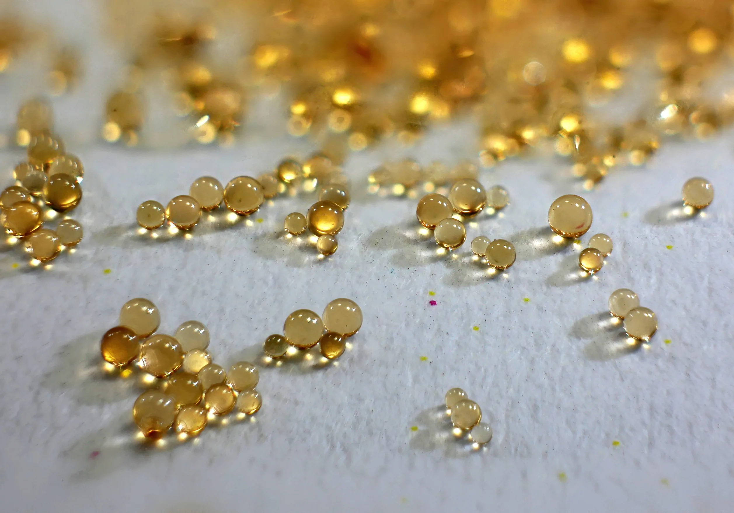 AdobeStock_329402576